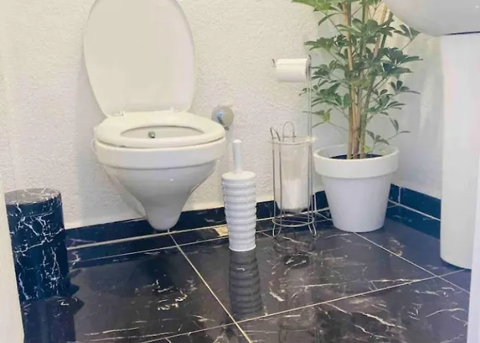 Shiva * 伊斯坦布尔