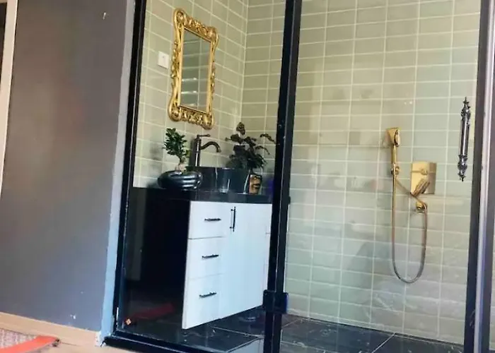 Shiva 伊斯坦布尔